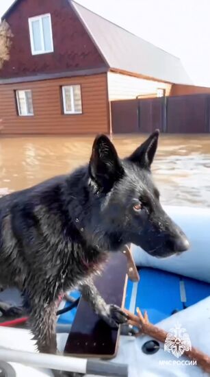 Прорыв дамбы в Орске