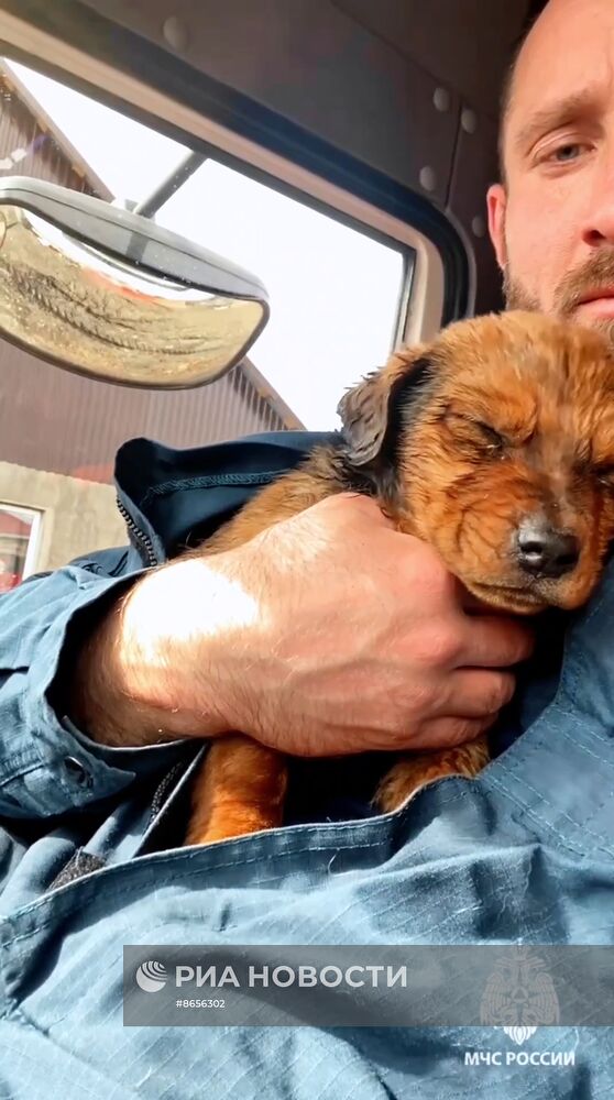 Прорыв дамбы в Орске