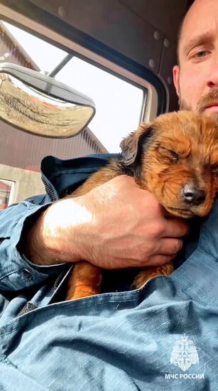 Прорыв дамбы в Орске