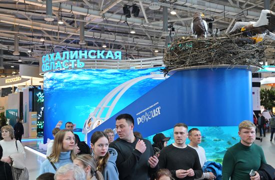 Работа выставки "Россия"
