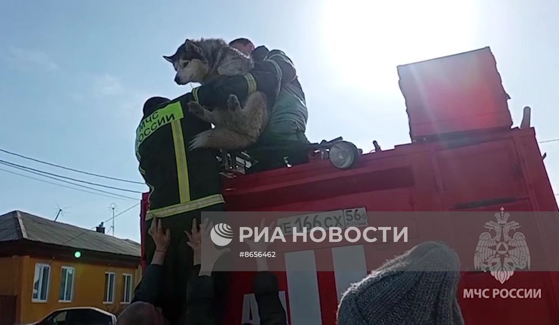 Прорыв дамбы в Орске