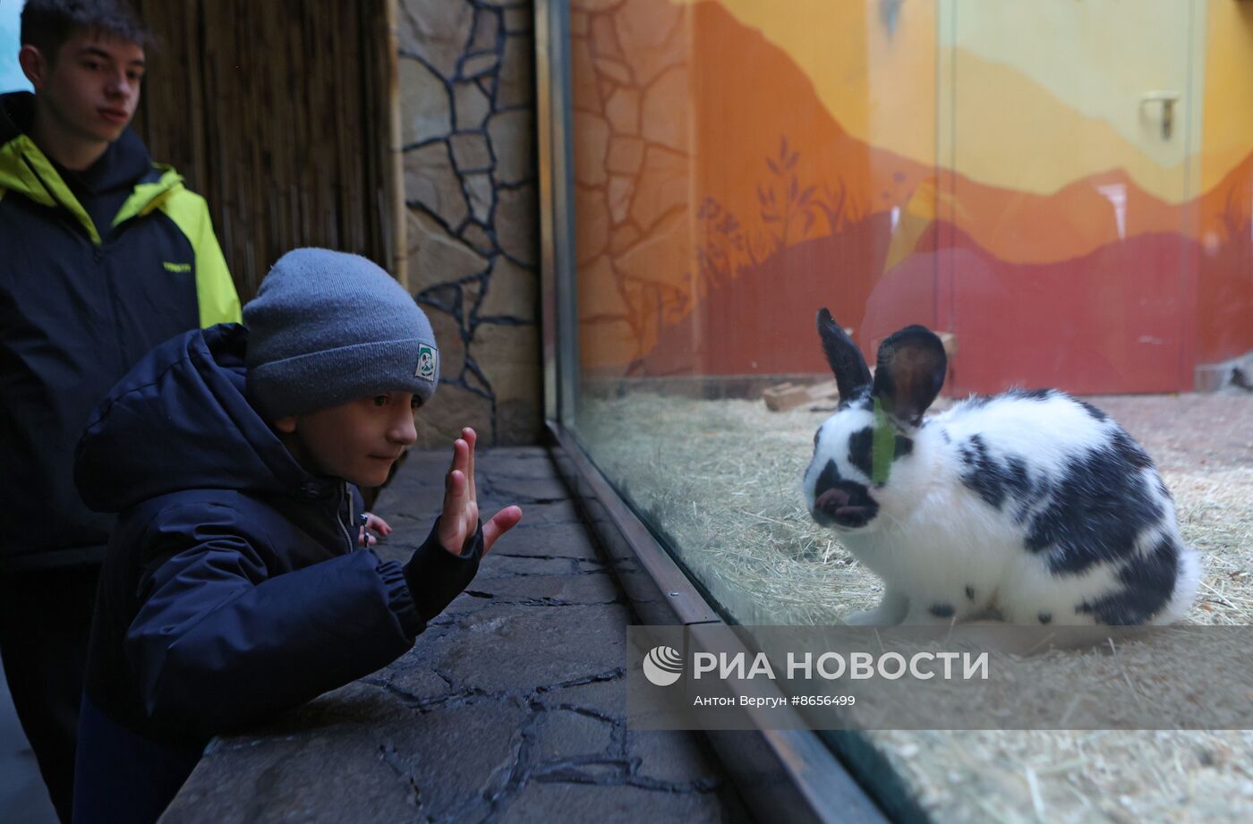 Белгородский зоопарк открылся для посещения после перерыва в работе из-за обстрелов