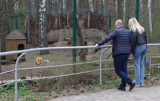 Белгородский зоопарк открылся для посещения после перерыва в работе из-за обстрелов