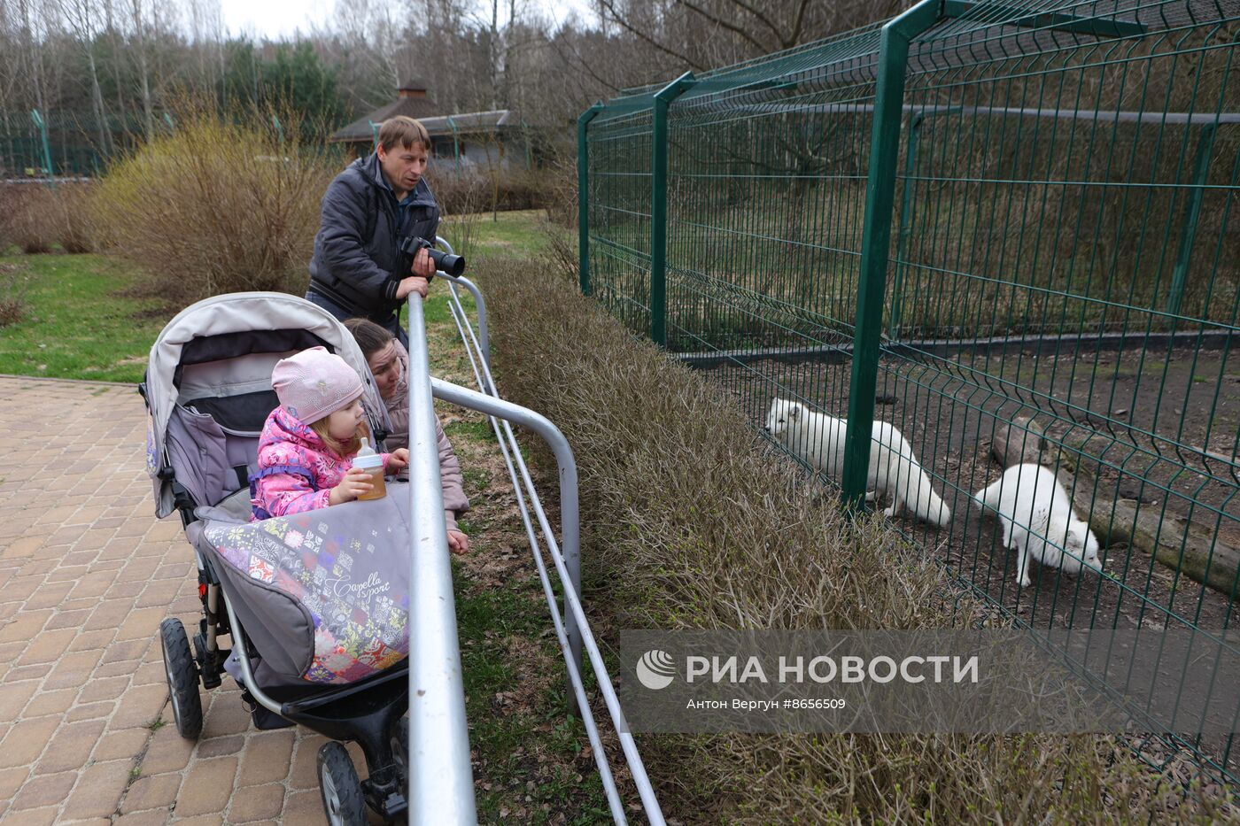 Белгородский зоопарк открылся для посещения после перерыва в работе из-за обстрелов