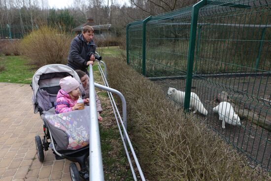 Белгородский зоопарк открылся для посещения после перерыва в работе из-за обстрелов