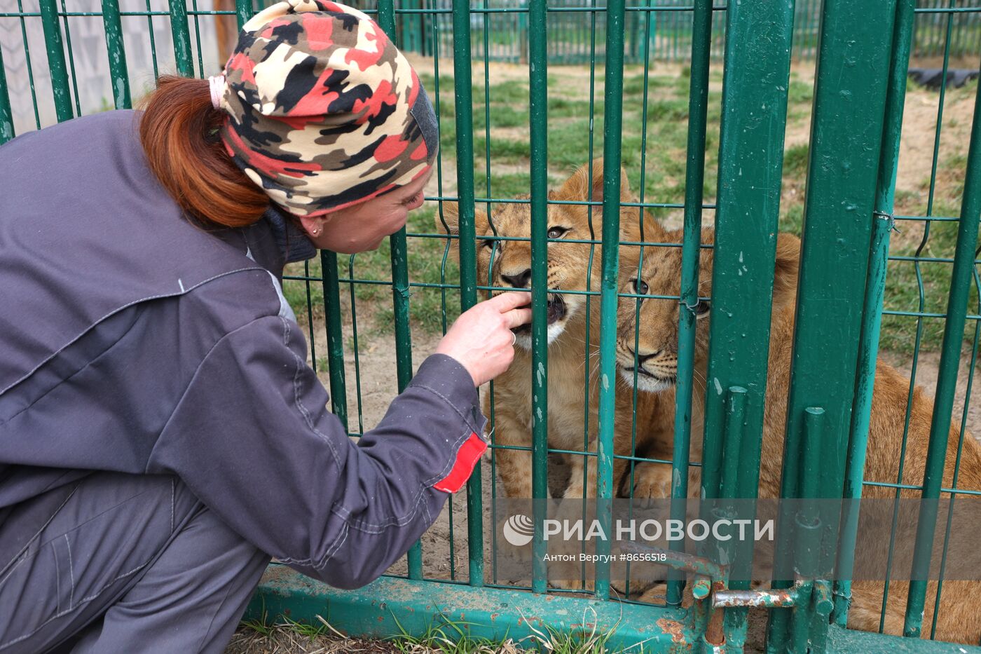 Белгородский зоопарк открылся для посещения после перерыва в работе из-за обстрелов