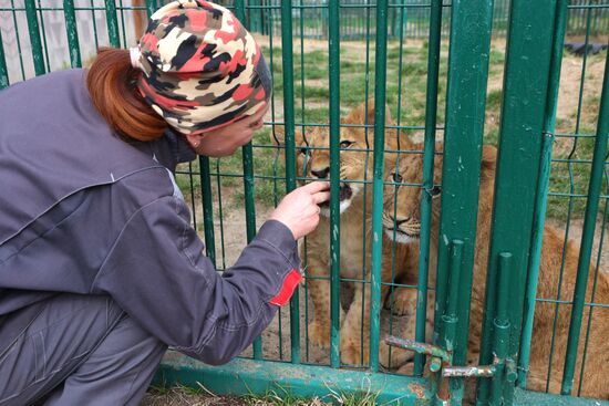 Белгородский зоопарк открылся для посещения после перерыва в работе из-за обстрелов