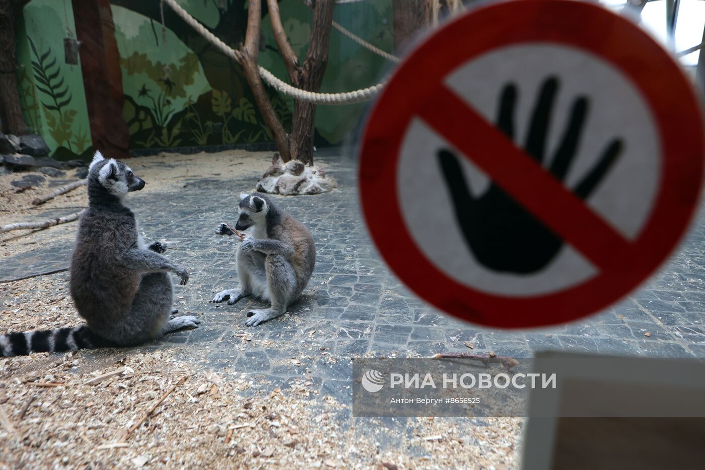 Белгородский зоопарк открылся для посещения после перерыва в работе из-за обстрелов