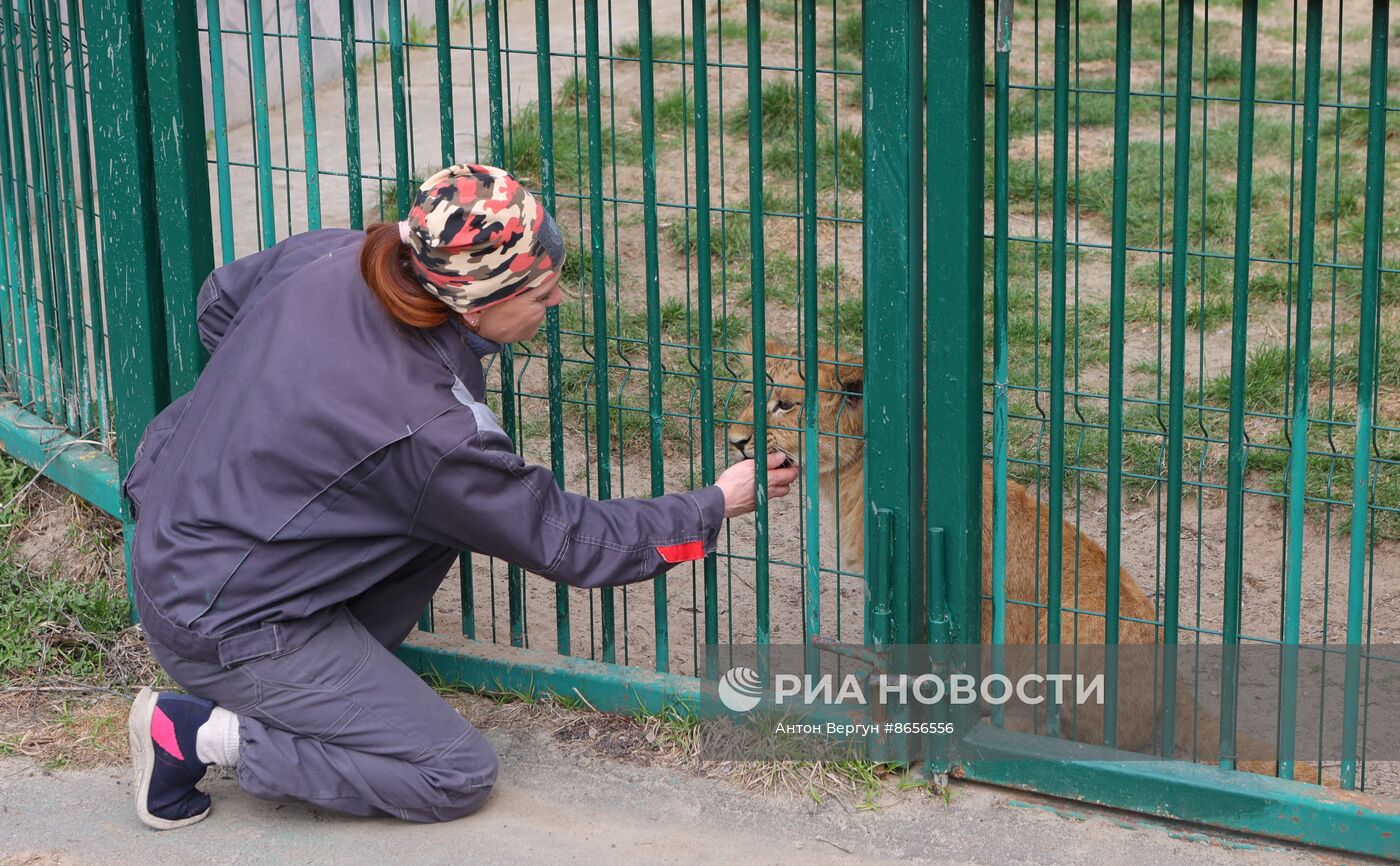 Белгородский зоопарк открылся для посещения после перерыва в работе из-за обстрелов