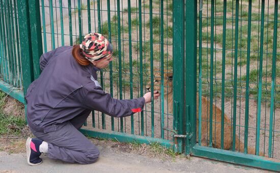 Белгородский зоопарк открылся для посещения после перерыва в работе из-за обстрелов