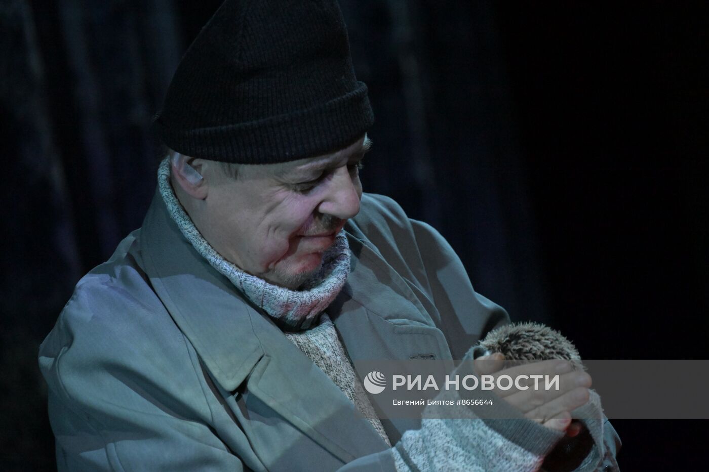 Выставка "Россия". Показ спектакля "Медитативный ёж" в рамках проекта "Голоса страны"