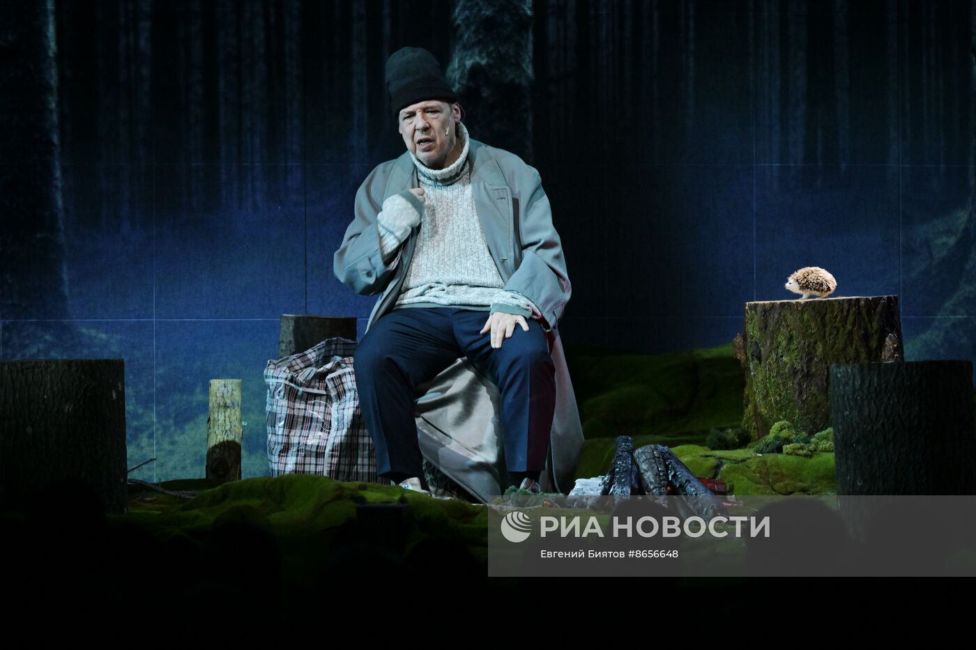 Выставка "Россия". Показ спектакля "Медитативный ёж" в рамках проекта "Голоса страны"