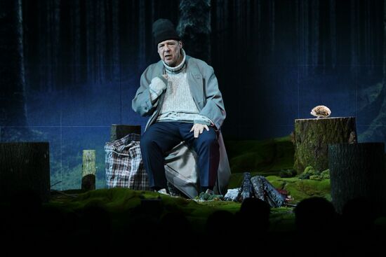 Выставка "Россия". Показ спектакля "Медитативный ёж" в рамках проекта "Голоса страны"