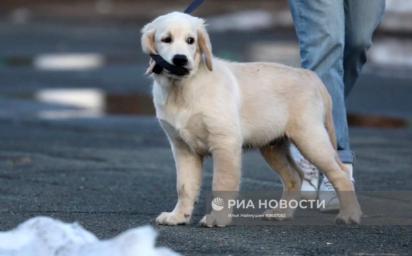 Весна в Красноярском крае