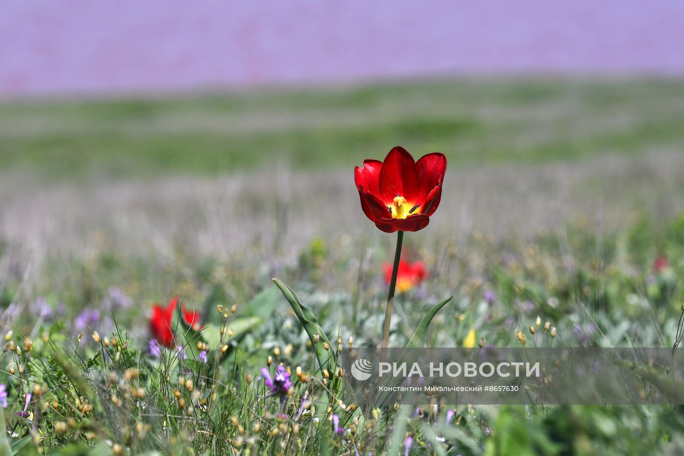 Опукский природный заповедник в Крыму