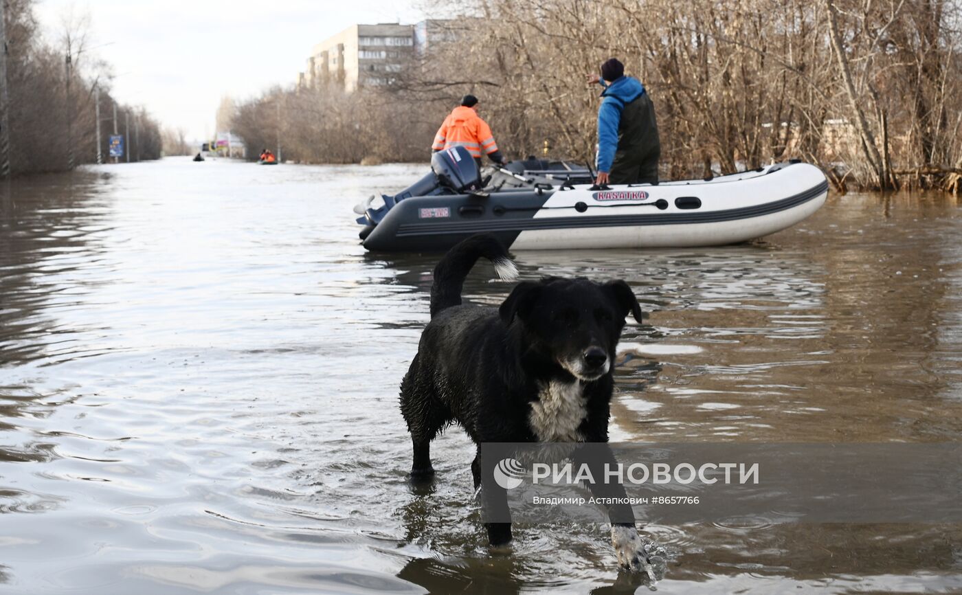 Последствия прорыва дамбы в Орске