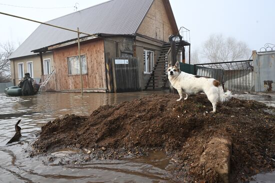 Паводок в Оренбурге