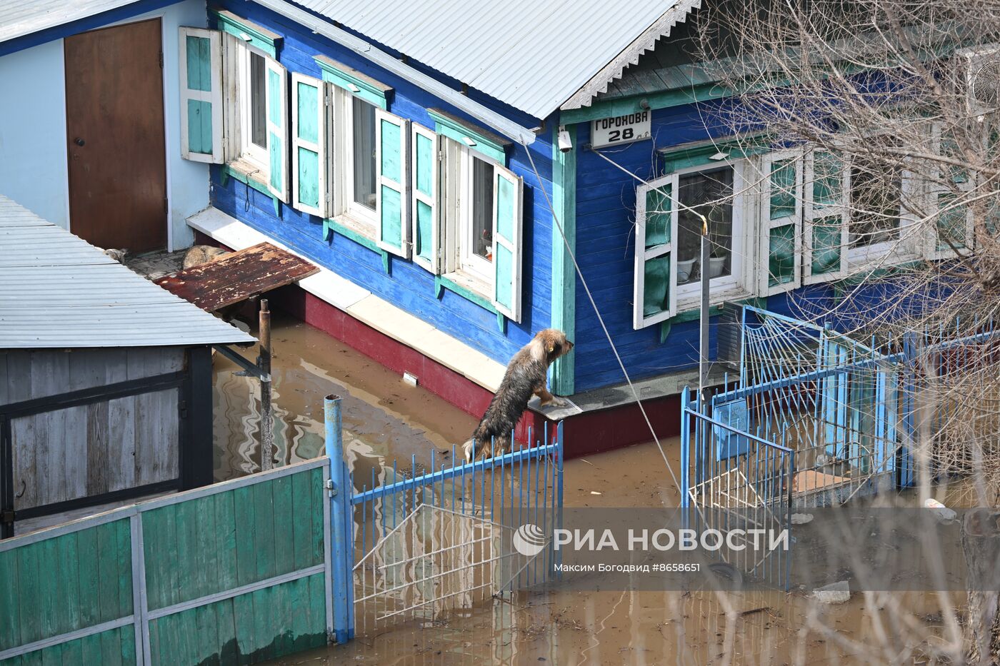 Паводок в Оренбурге