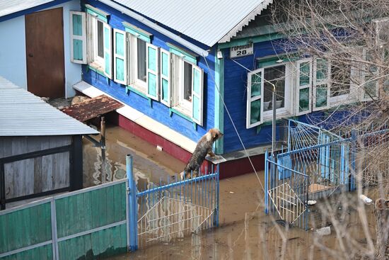 Паводок в Оренбурге