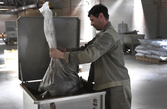 Работа индийской чаеразвесочной фабрики "Джей Ти" во Владивостоке 