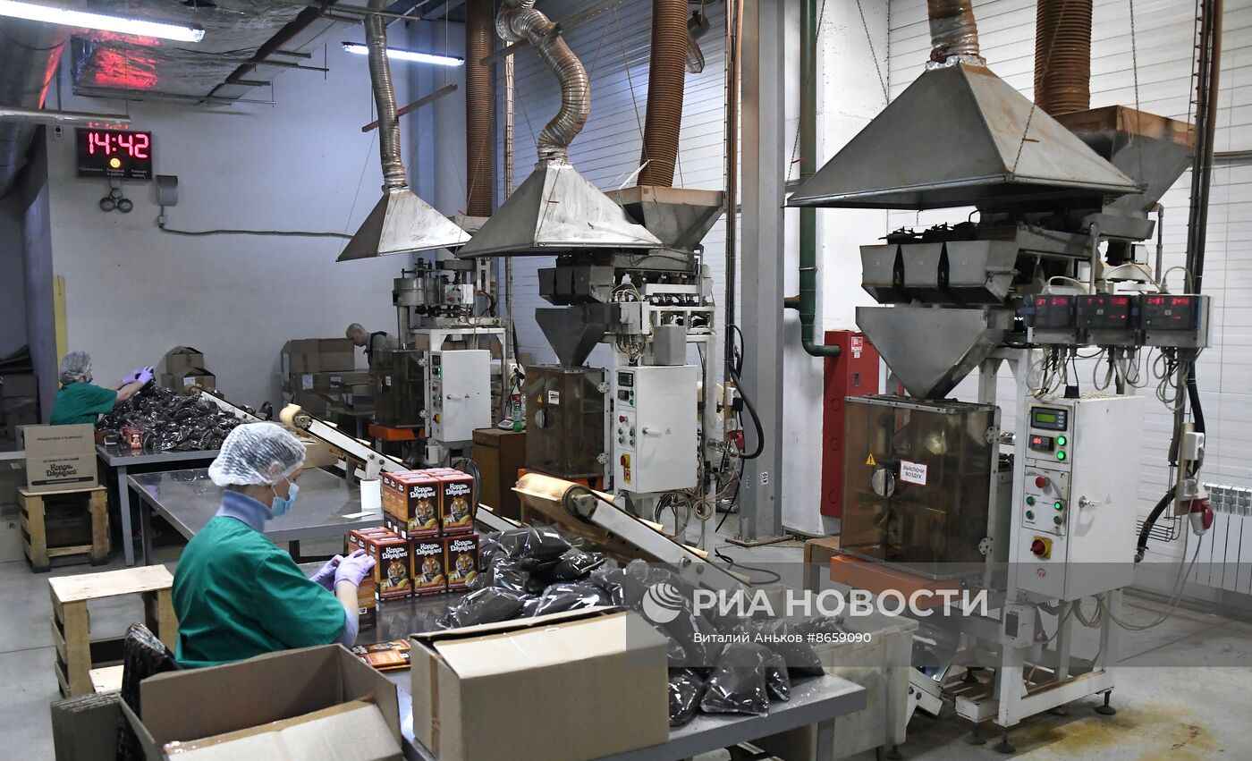 Работа индийской чаеразвесочной фабрики "Джей Ти" во Владивостоке 