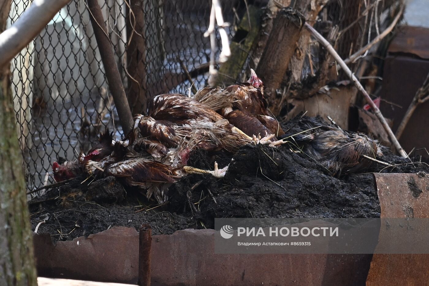 Паводок в Оренбурге