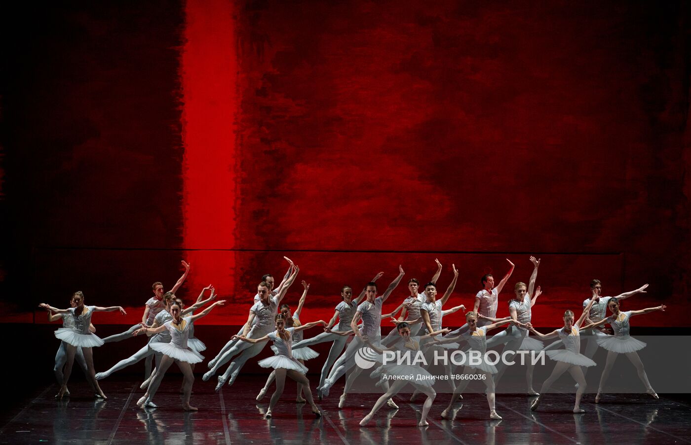 Фестиваль балета Dance Open