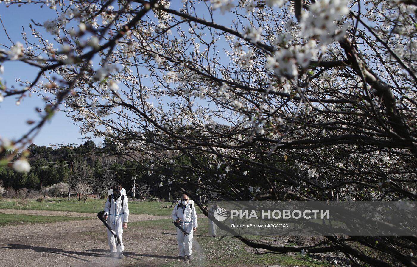 Обработка скверов и парков от клещей