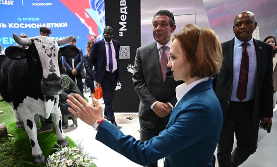 Выставка "Россия". Экскурсия послов стран БРИКС
