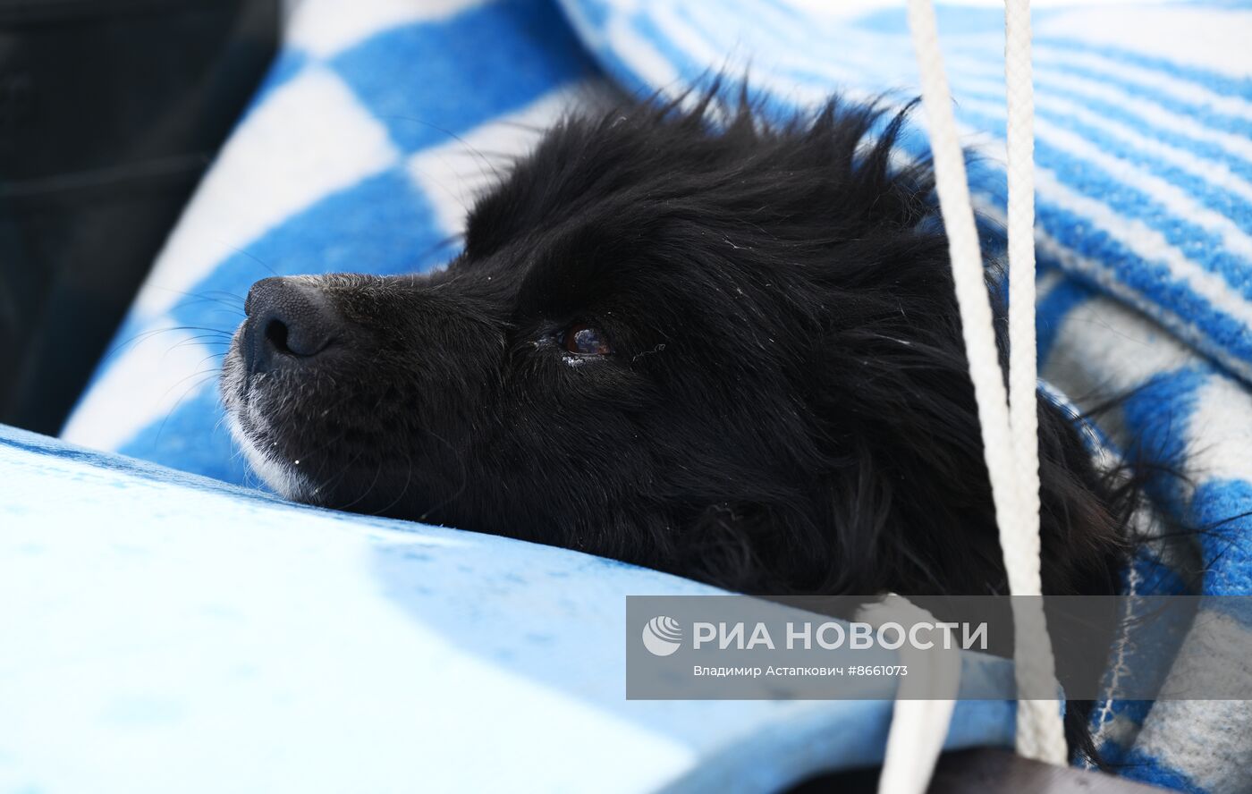 Паводок в Оренбурге