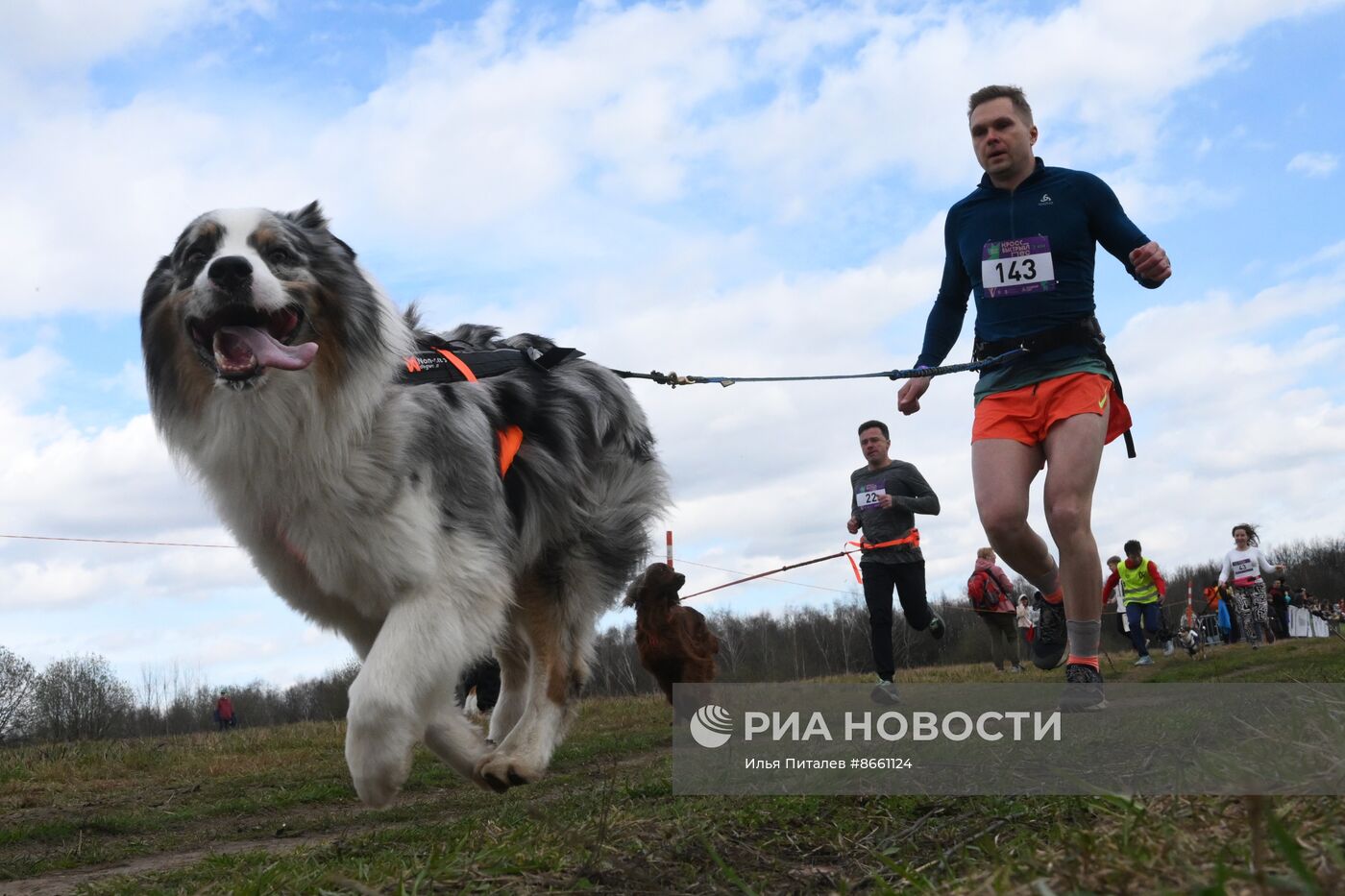 Кросс "Быстрый пес"