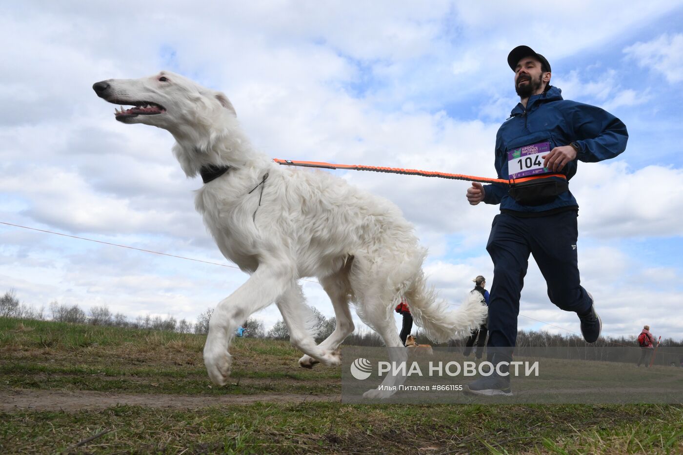 Кросс "Быстрый пес"