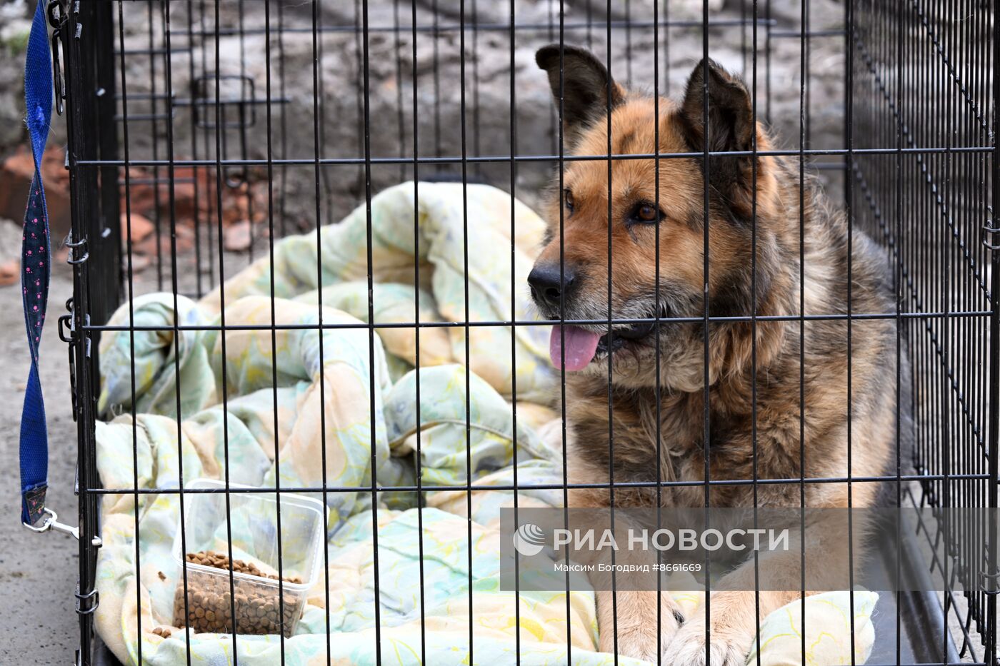 Паводок в Оренбурге