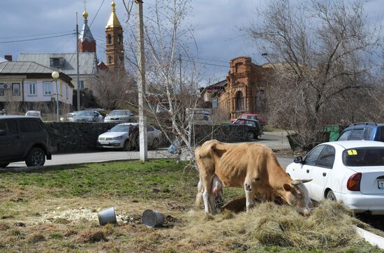 Вода уходит из Орска после пика паводка