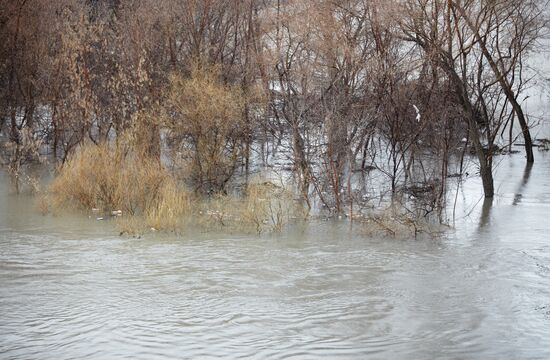 Курган в ожидании подъема воды в реке Тобол из-за паводков