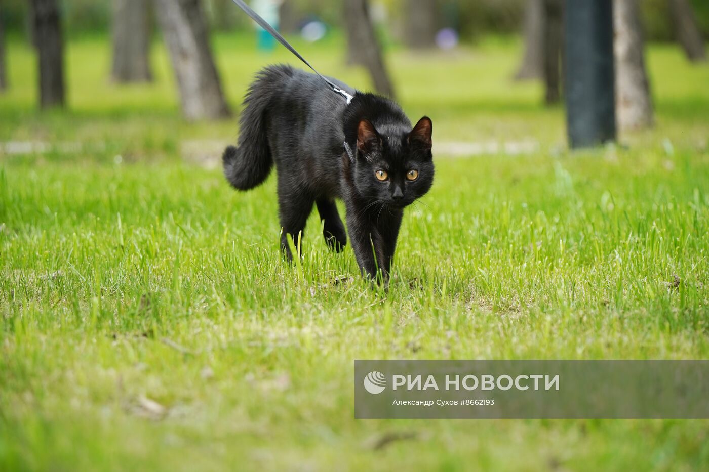 Весенняя погода в Мариуполе 