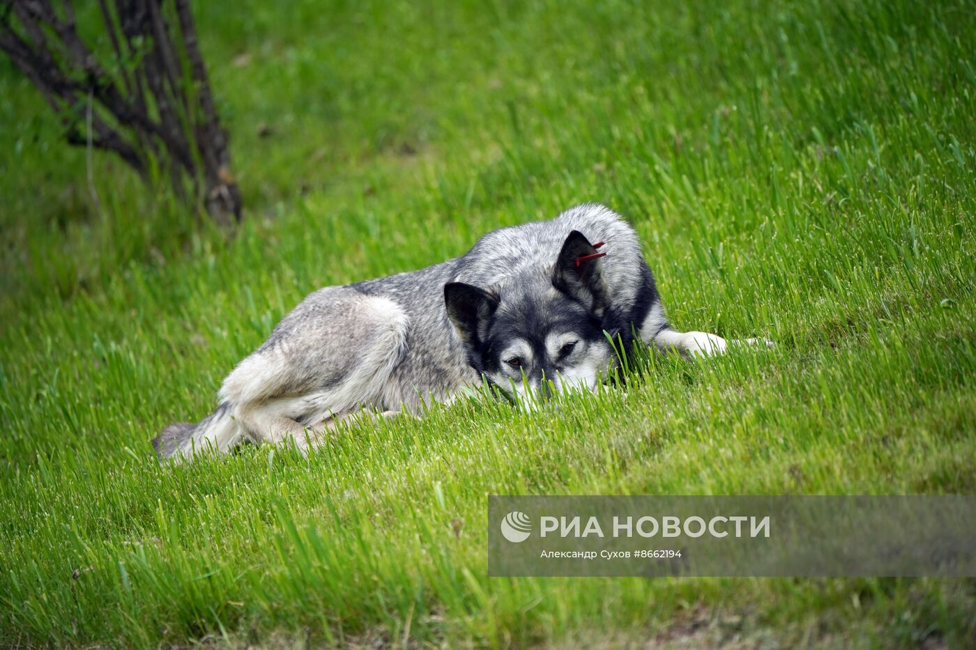 Весенняя погода в Мариуполе 