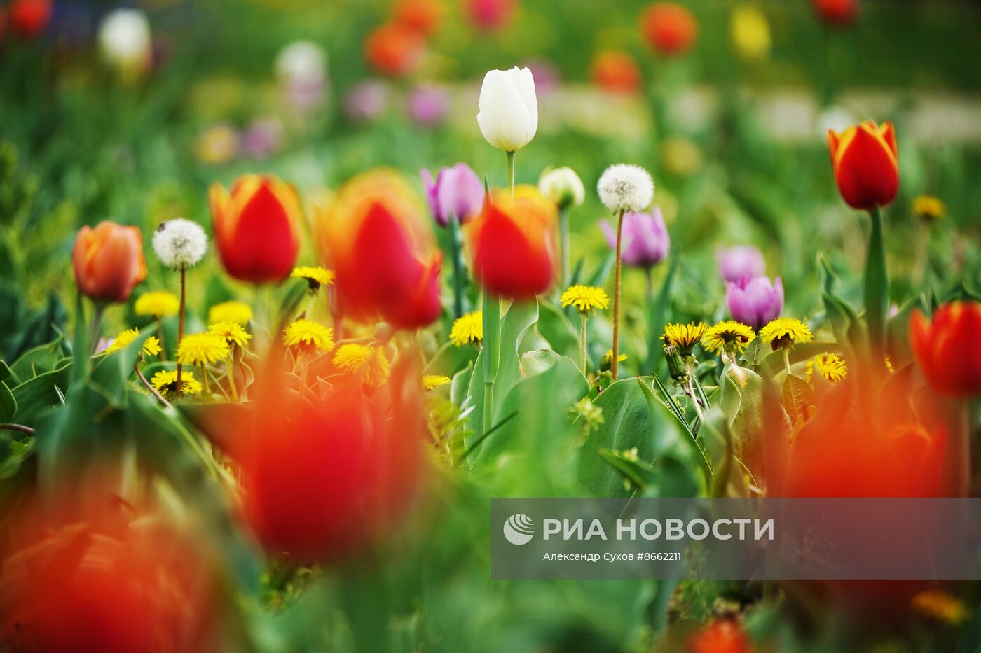 Весенняя погода в Мариуполе 