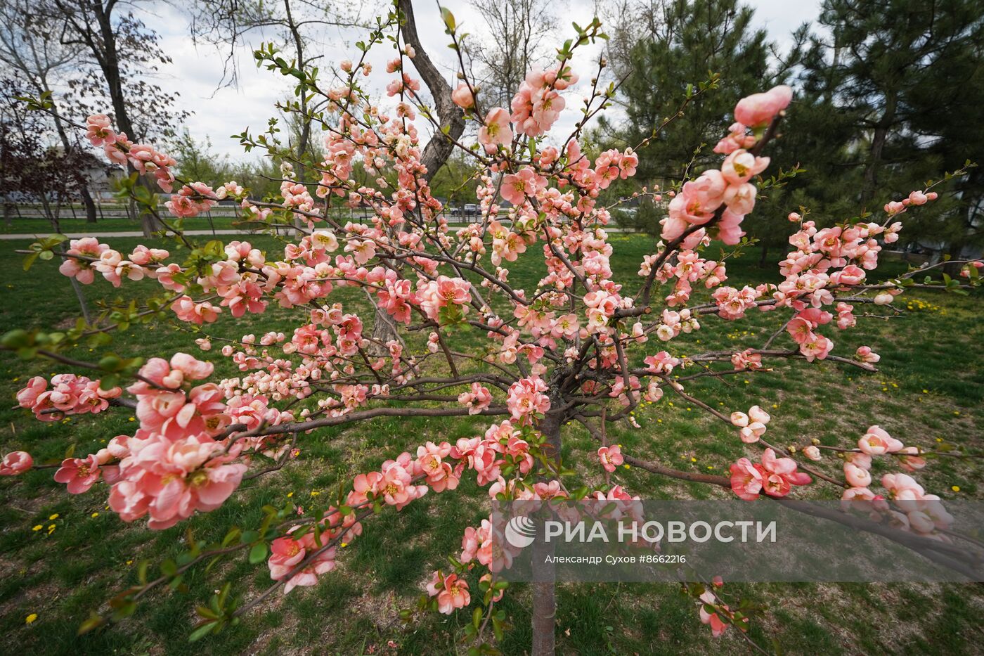 Весенняя погода в Мариуполе 