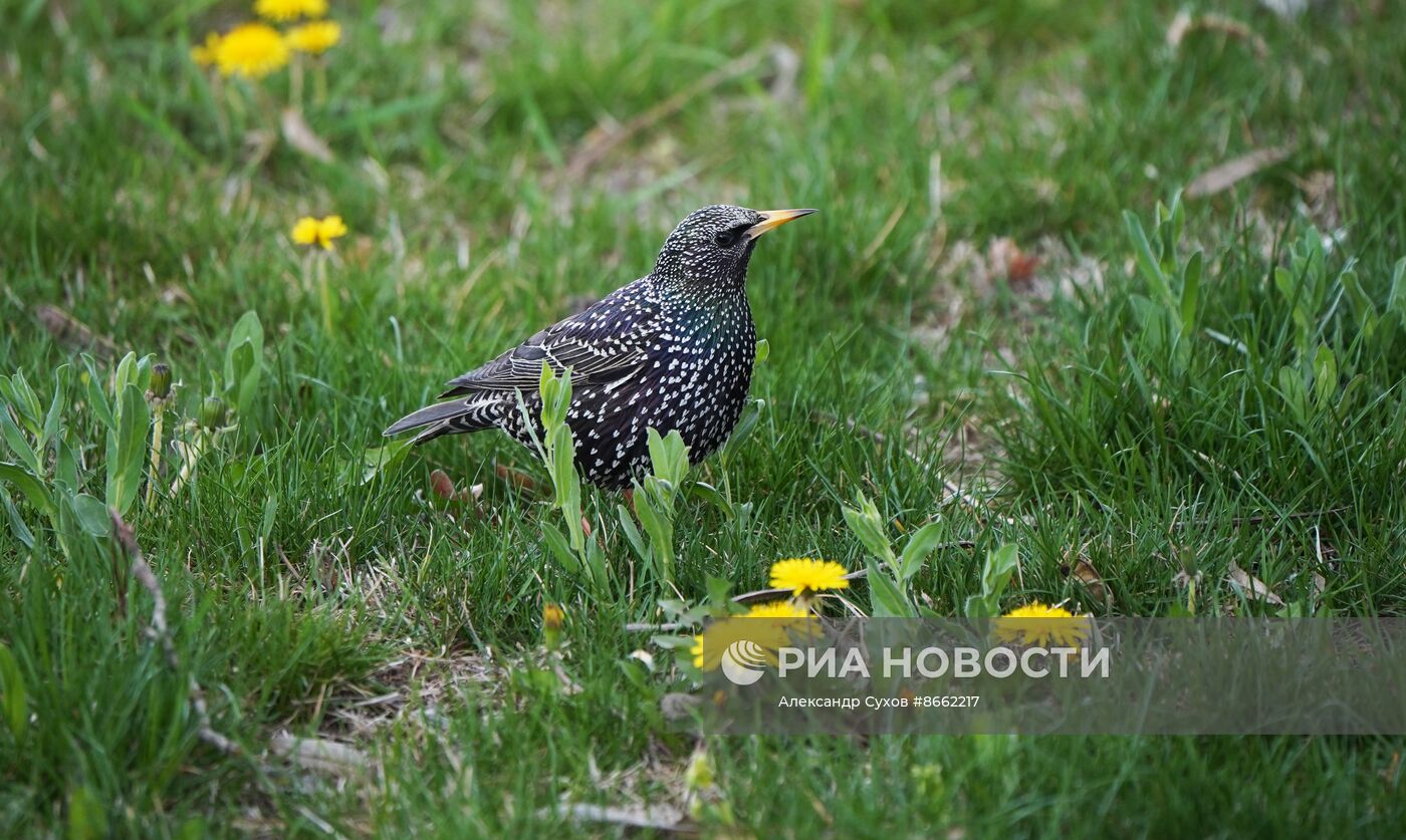 Весенняя погода в Мариуполе 