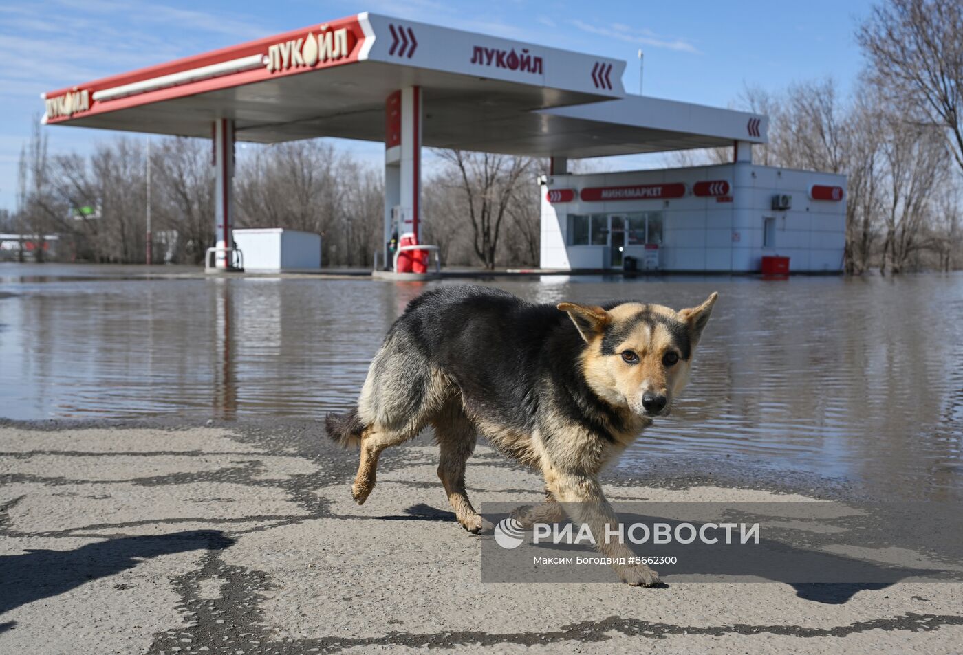 Паводок в Оренбургской области