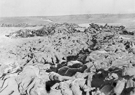 Великая Отечественная война 1941-1945 гг