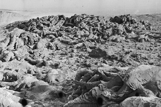 Великая Отечественная война 1941-1945 гг