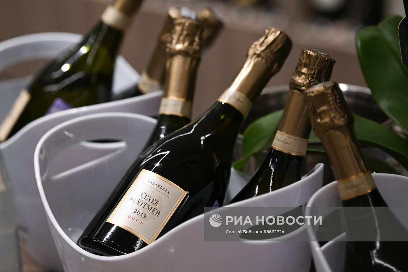 Открытие весеннего этапа всероссийской акции "Дни российских вин"