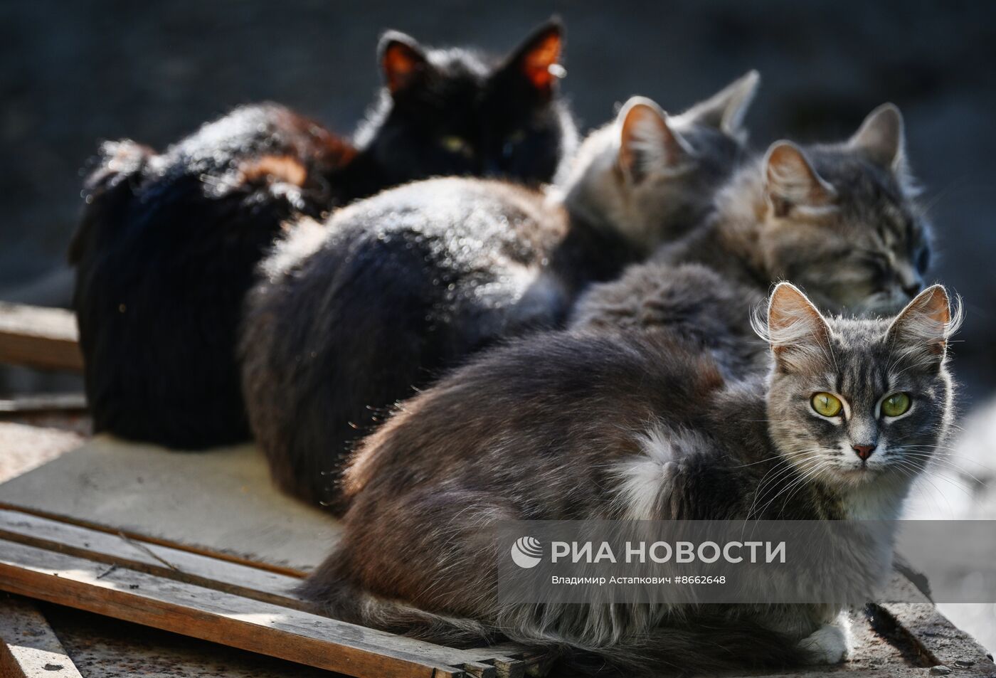 Паводок в Оренбургской области