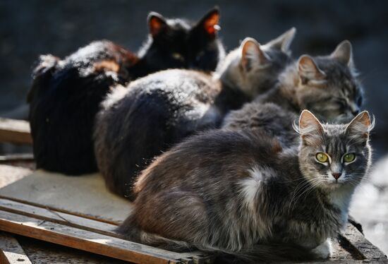 Паводок в Оренбургской области