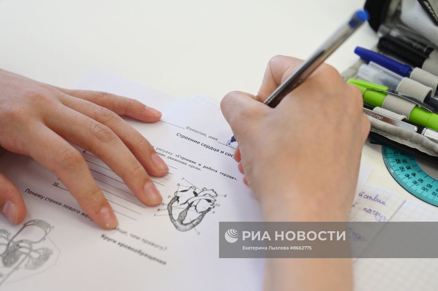 Федеральная территория "Сириус" приняла детей из Белгородской области