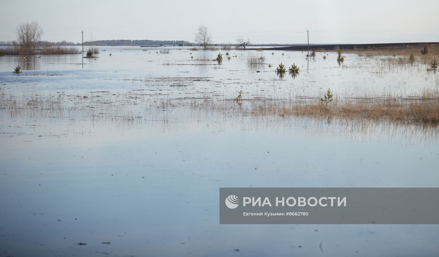 Разлив реки Тобол в Кургане и окрестностях