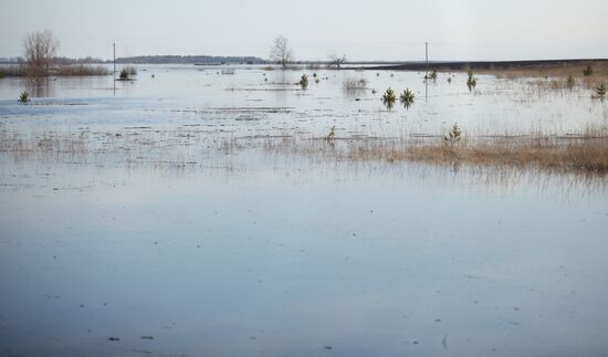 Разлив реки Тобол в Кургане и окрестностях