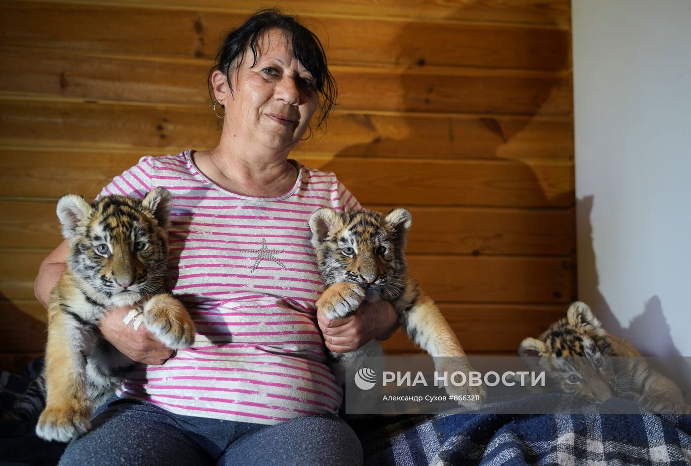 Тигрята в зоопарке Мариуполя